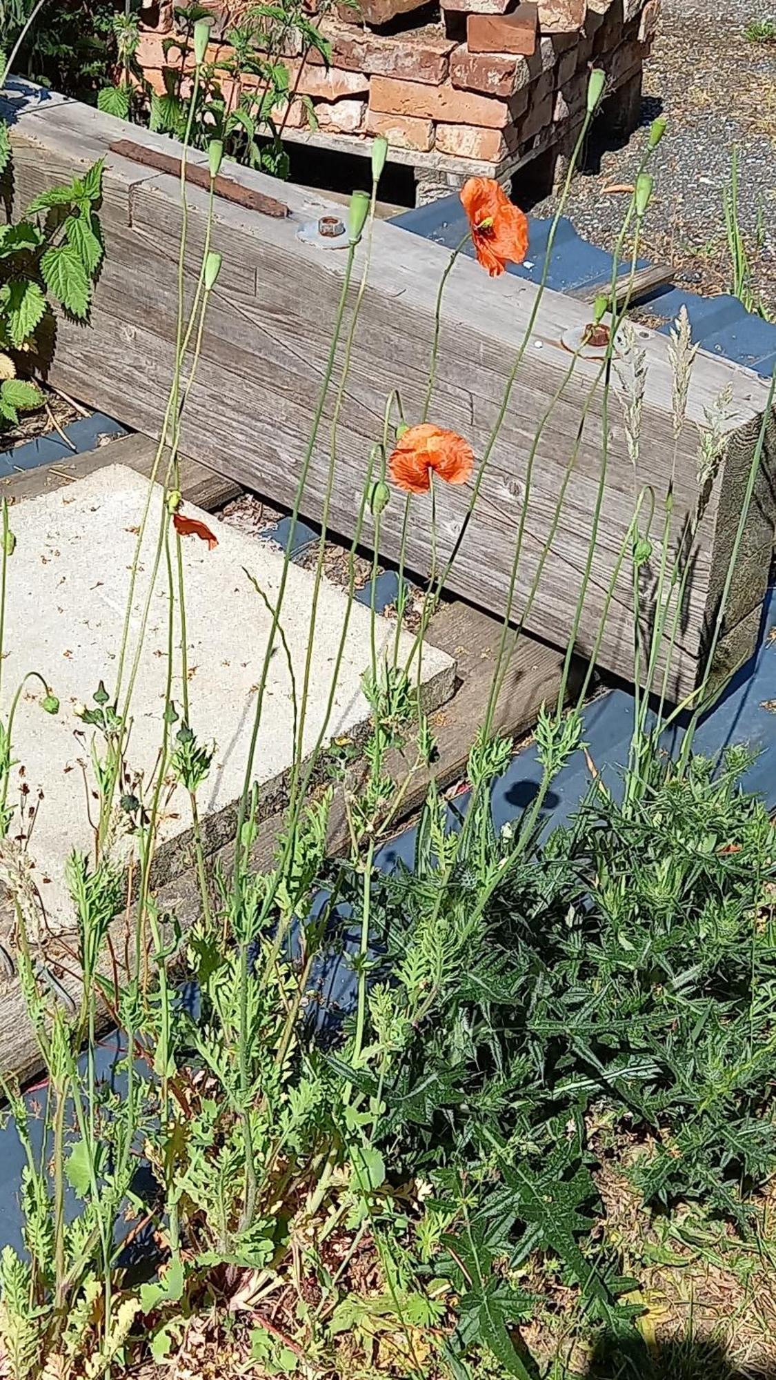 Luettje Koje Apartment Breklum Bagian luar foto